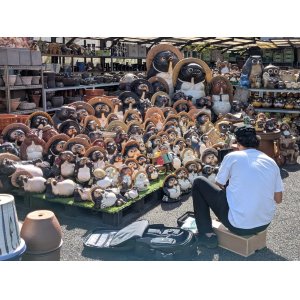 ＮＨＫＥテレ　にほんごであそぼ　「ぐうたらちんたら」