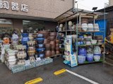 信楽焼　メダカ・すいれん鉢が８０鉢入荷！