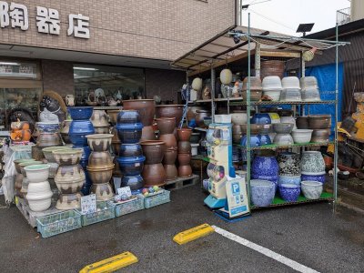 信楽焼　メダカ・すいれん鉢が８０鉢入荷！